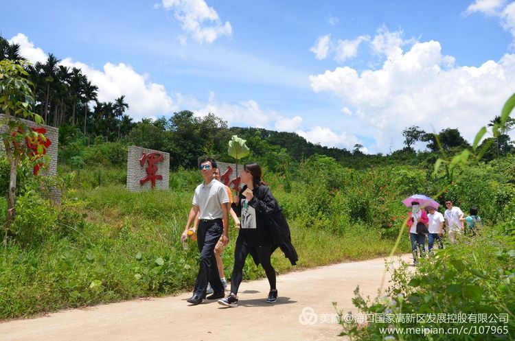 1498439081338622.jpg 18.jpg