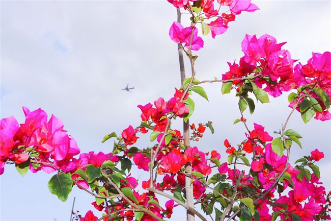 1520868666861797.jpg 20180312_221845_015.jpg