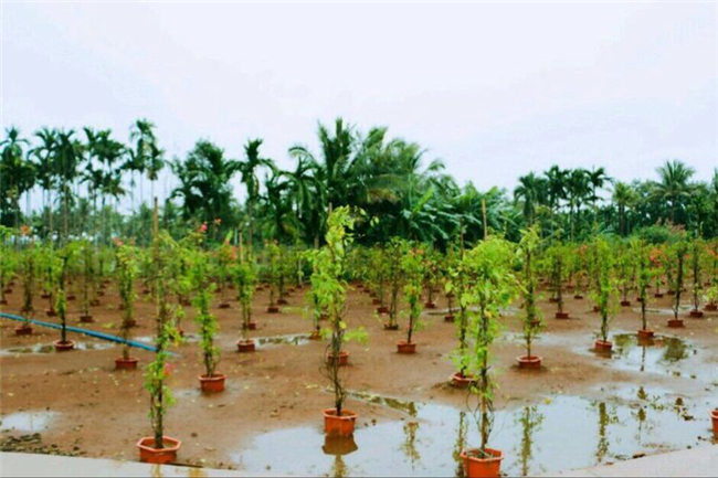 1520868750103633.jpg 20180312_221845_021.jpg