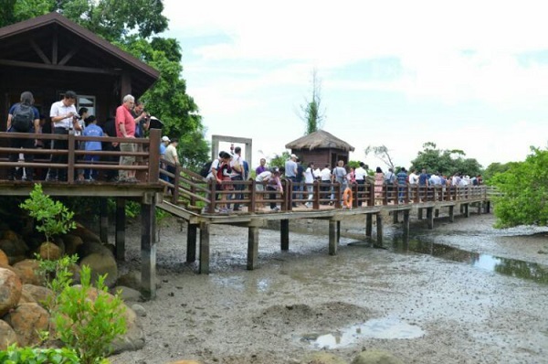 1467191150126199.jpg 7.jpg