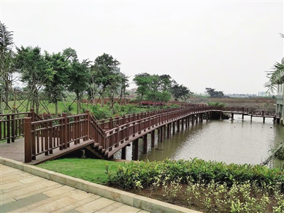 1486889543885803.jpg 2690352_hnrbtp1_1486820425605_b.jpg